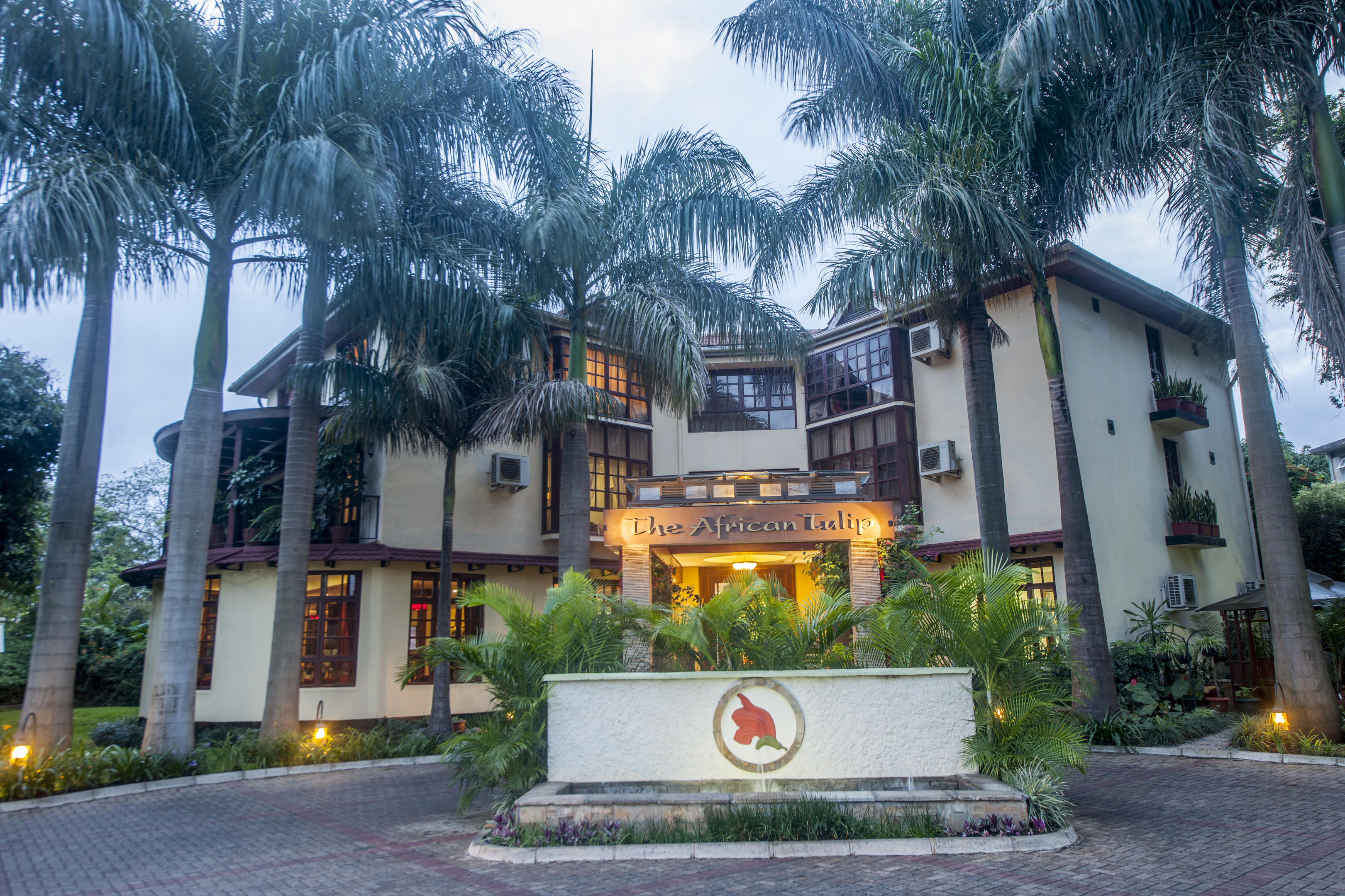 The African Tulip thumbnail 3